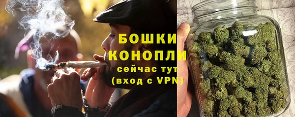 гашик Гвардейск