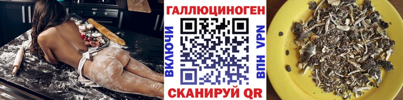гидра онион  Грязовец  Псилоцибиновые грибы Psilocybine cubensis 